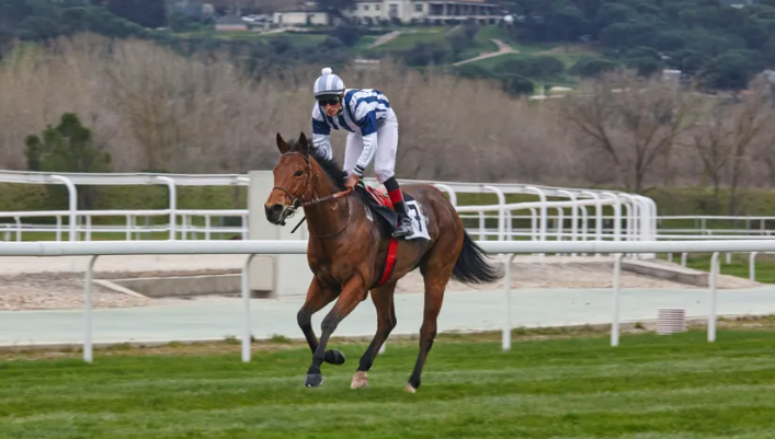 Celebrate Big, Spend Small: Affordable Jockey Club Festival Getaways